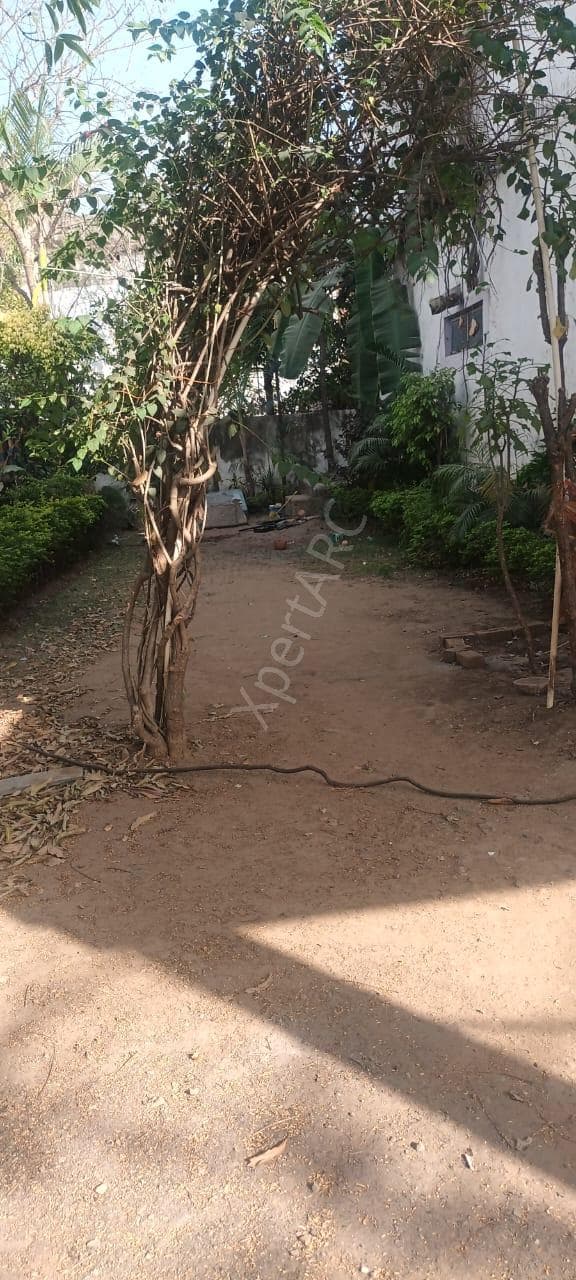 Property Photos 3