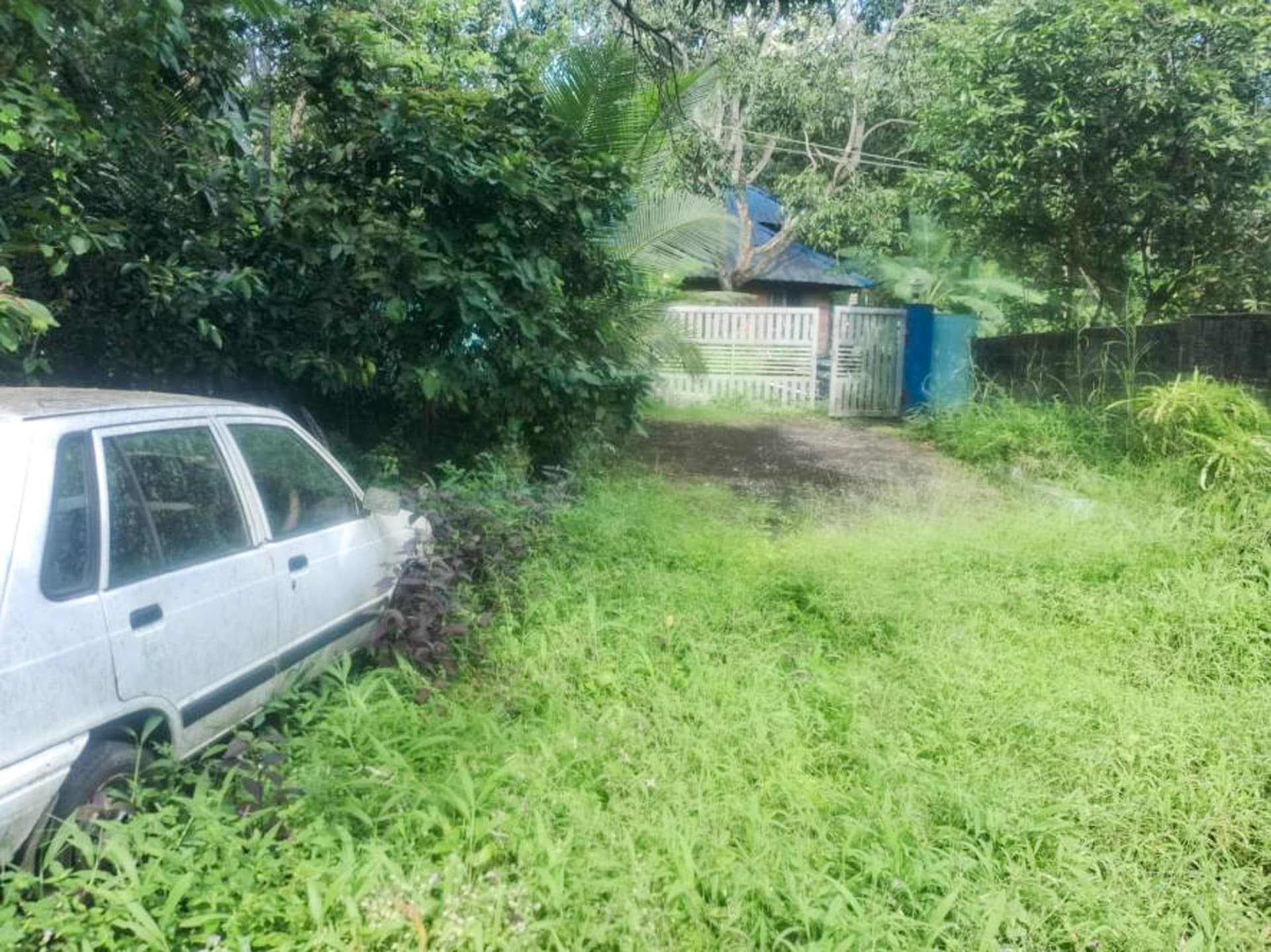 Property Photos 25