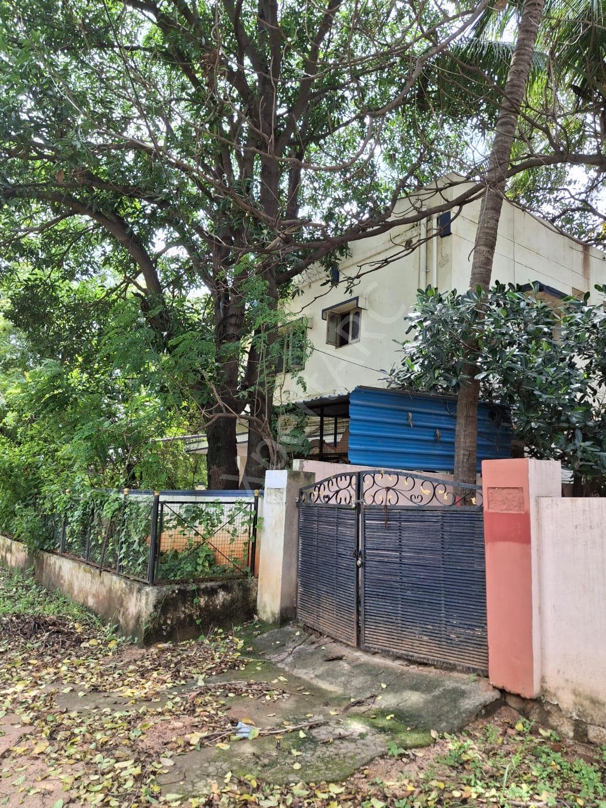 Property Photos 2