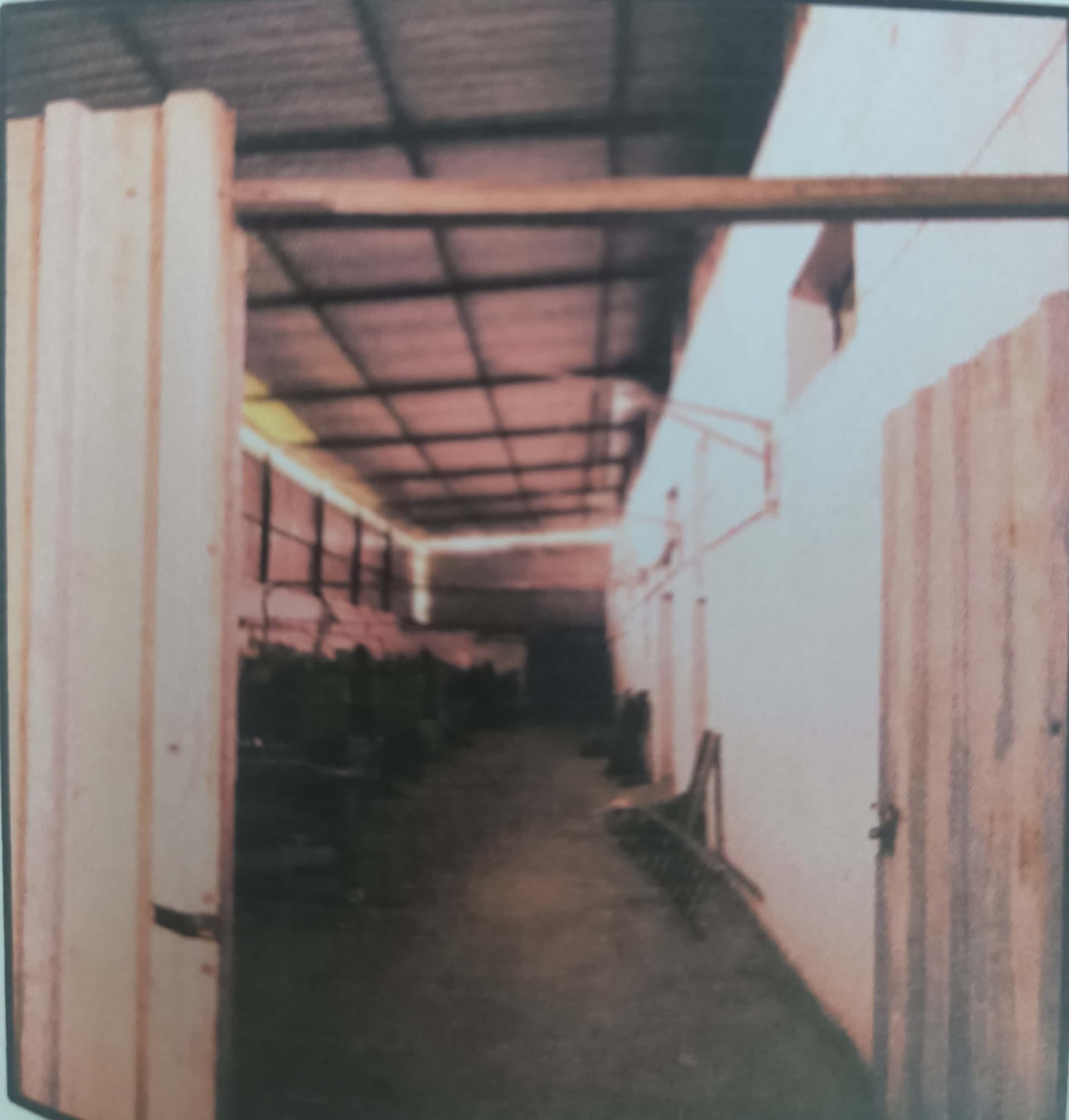 Property Photos 9