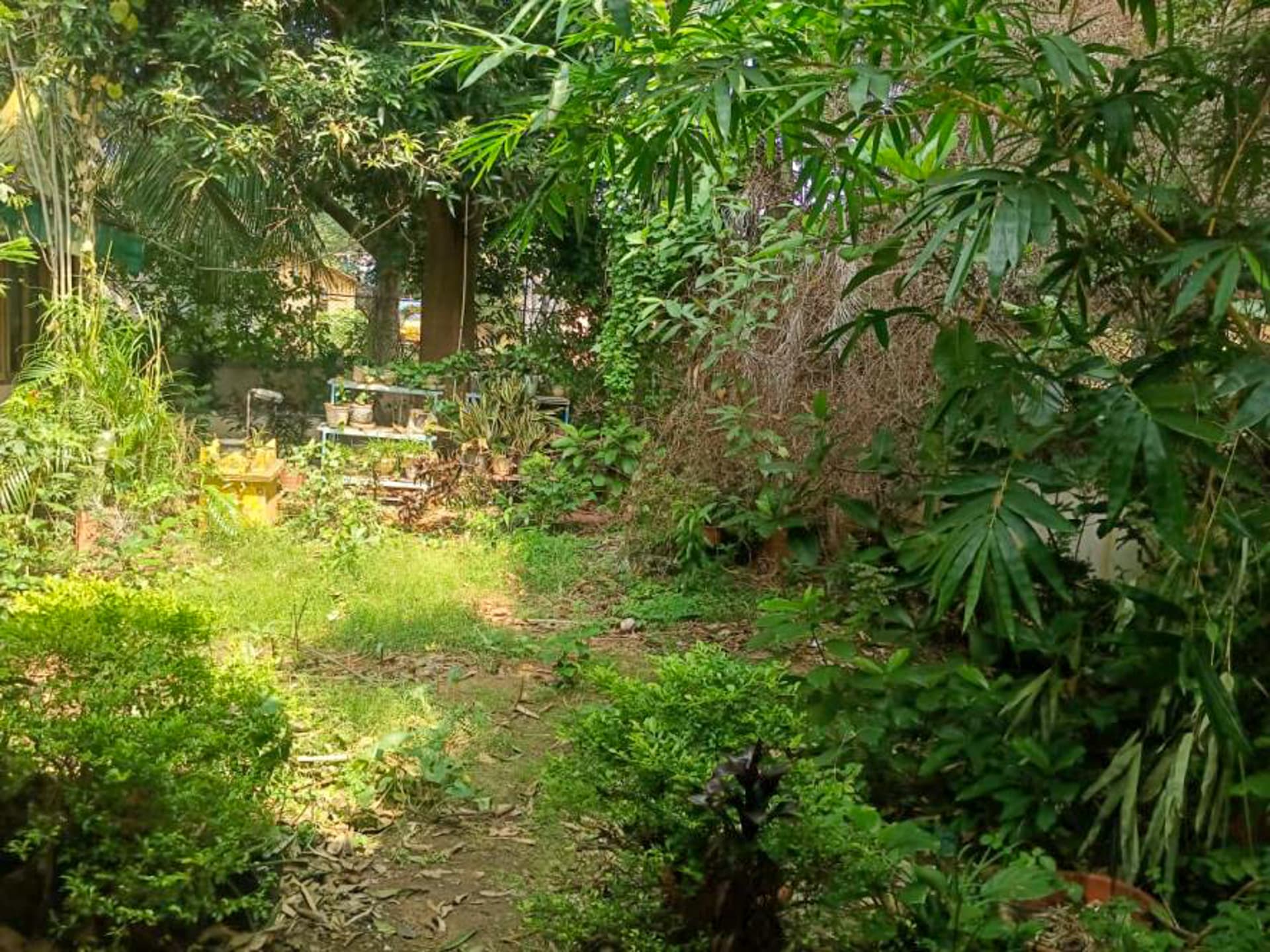 Property Photos 19