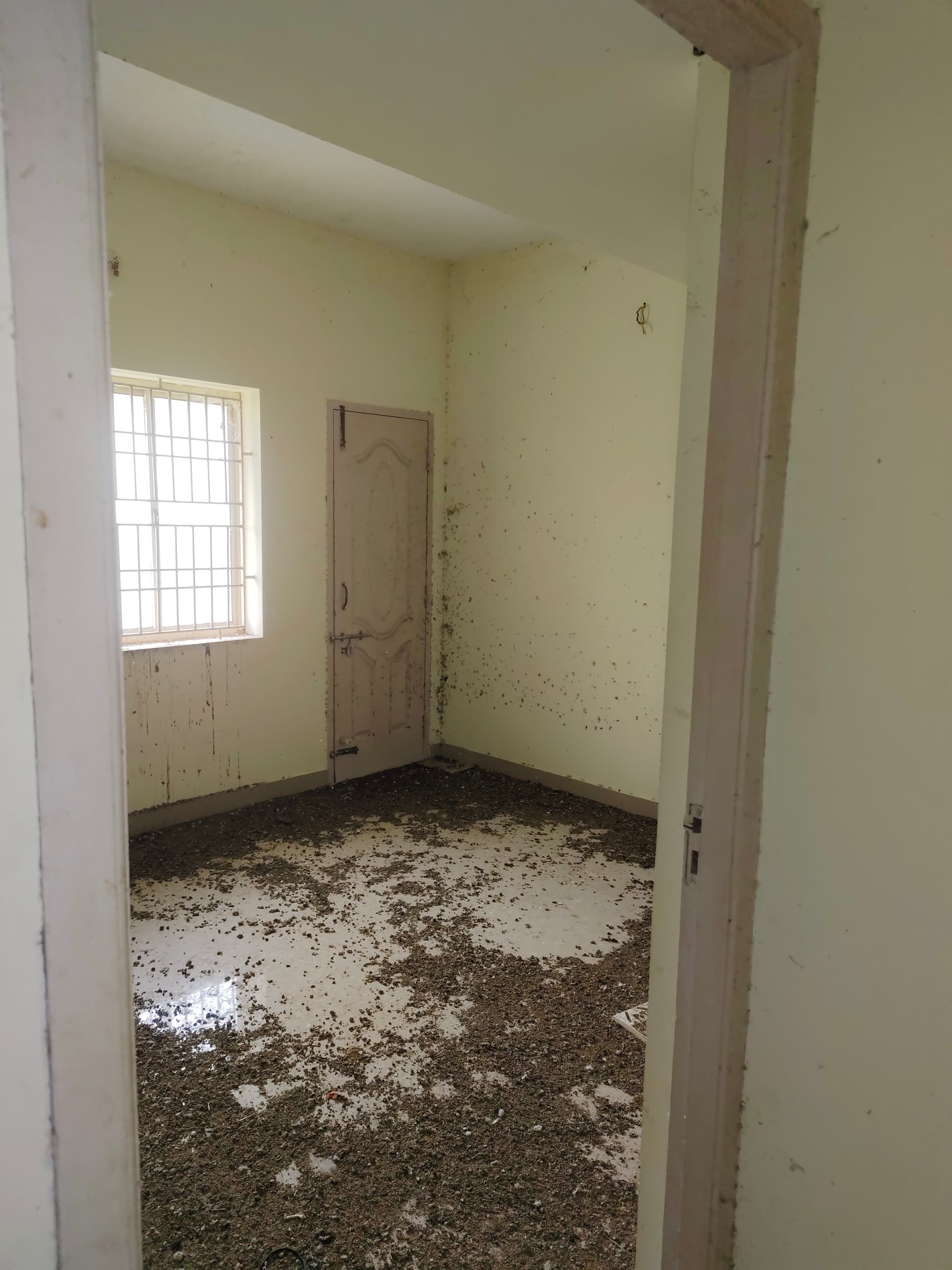 Property Photos 2