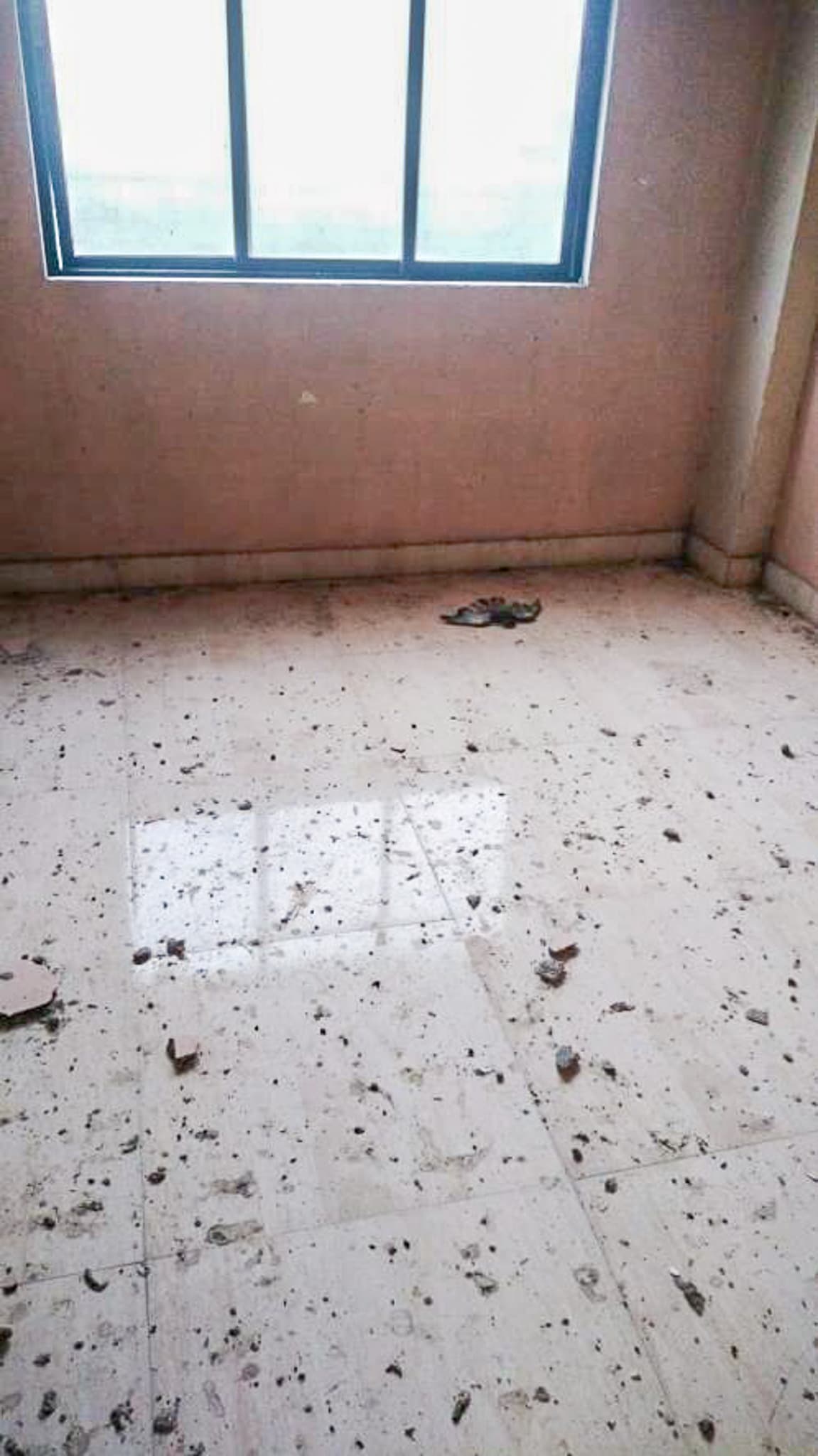 Property Photos 2
