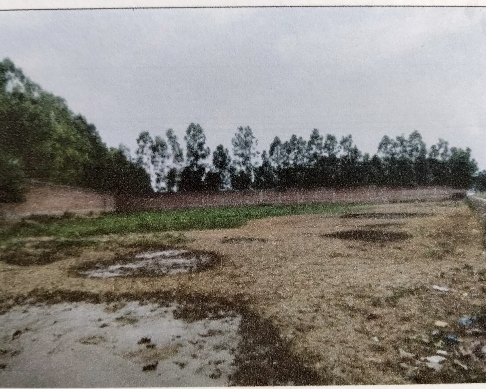 Property Photos 2