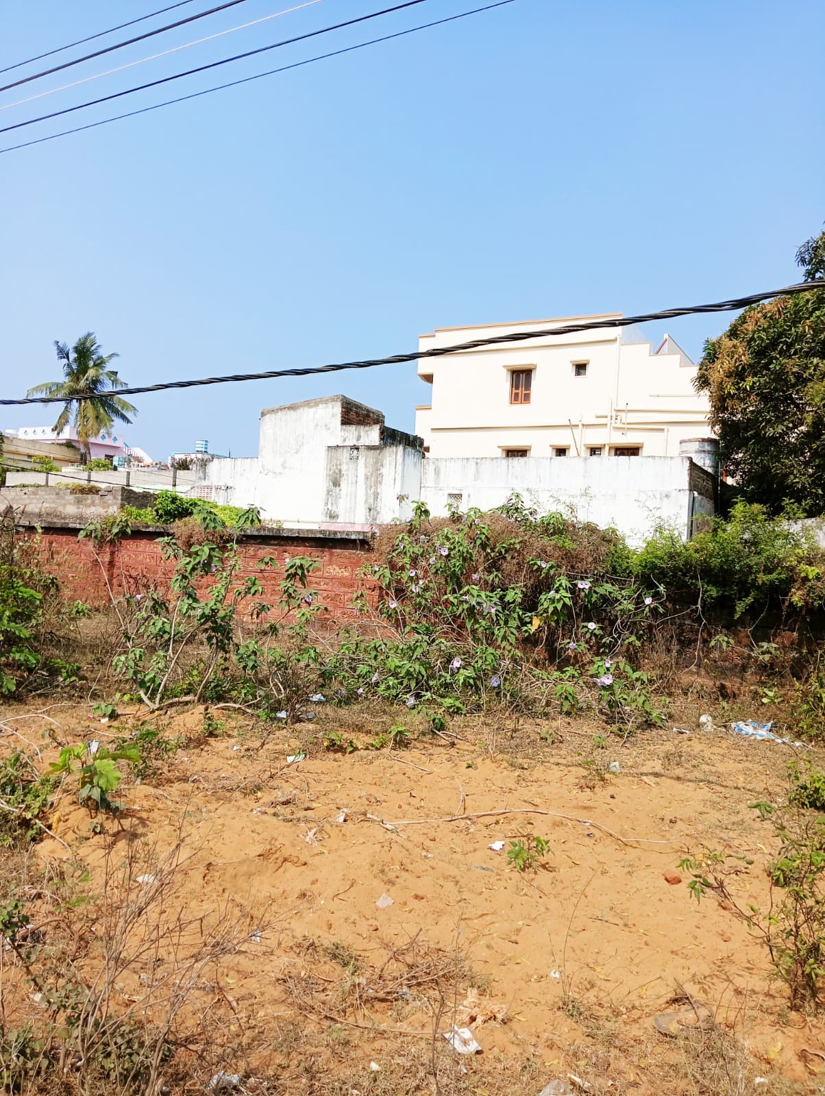Property Photos 3