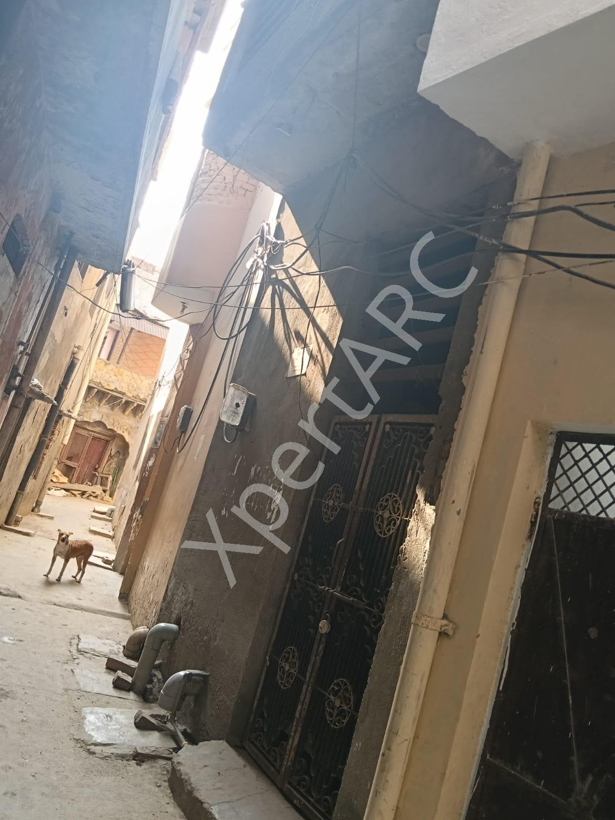 Property Photos 6