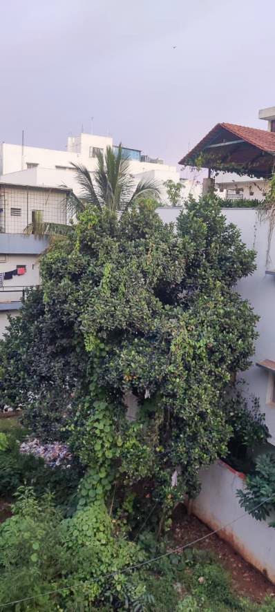 Property Photos 5
