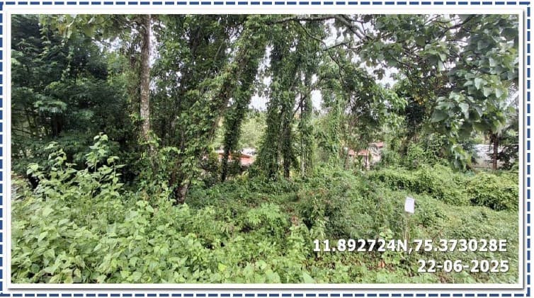 Property Photos 2