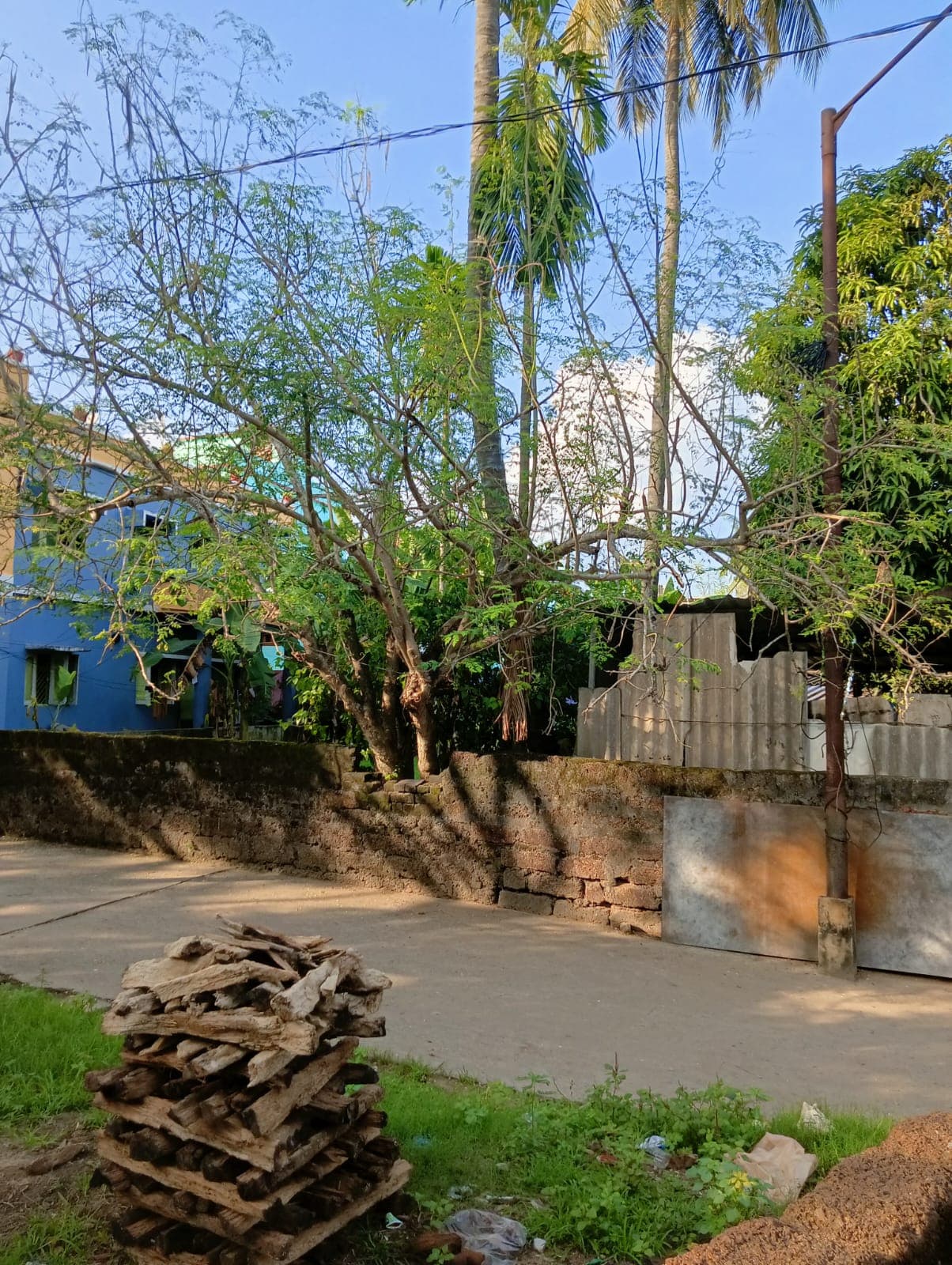 Property Photos 2