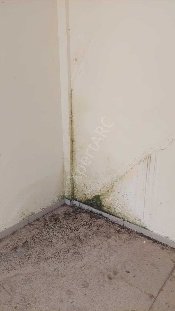 Property Photos 8