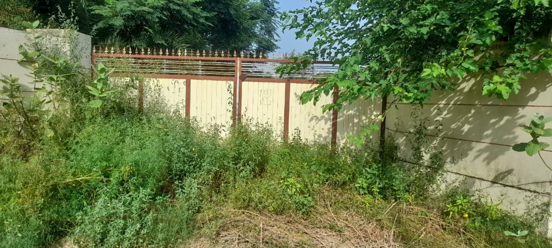 Property Photos 1