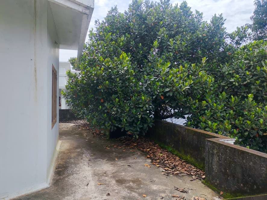 Property Photos 11