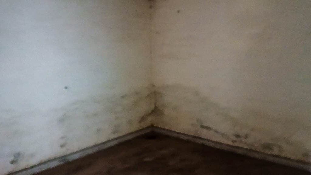 Property Photos 9