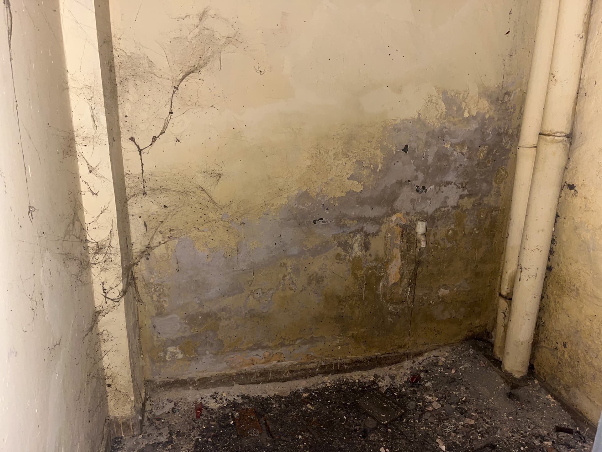 Property Photos 19