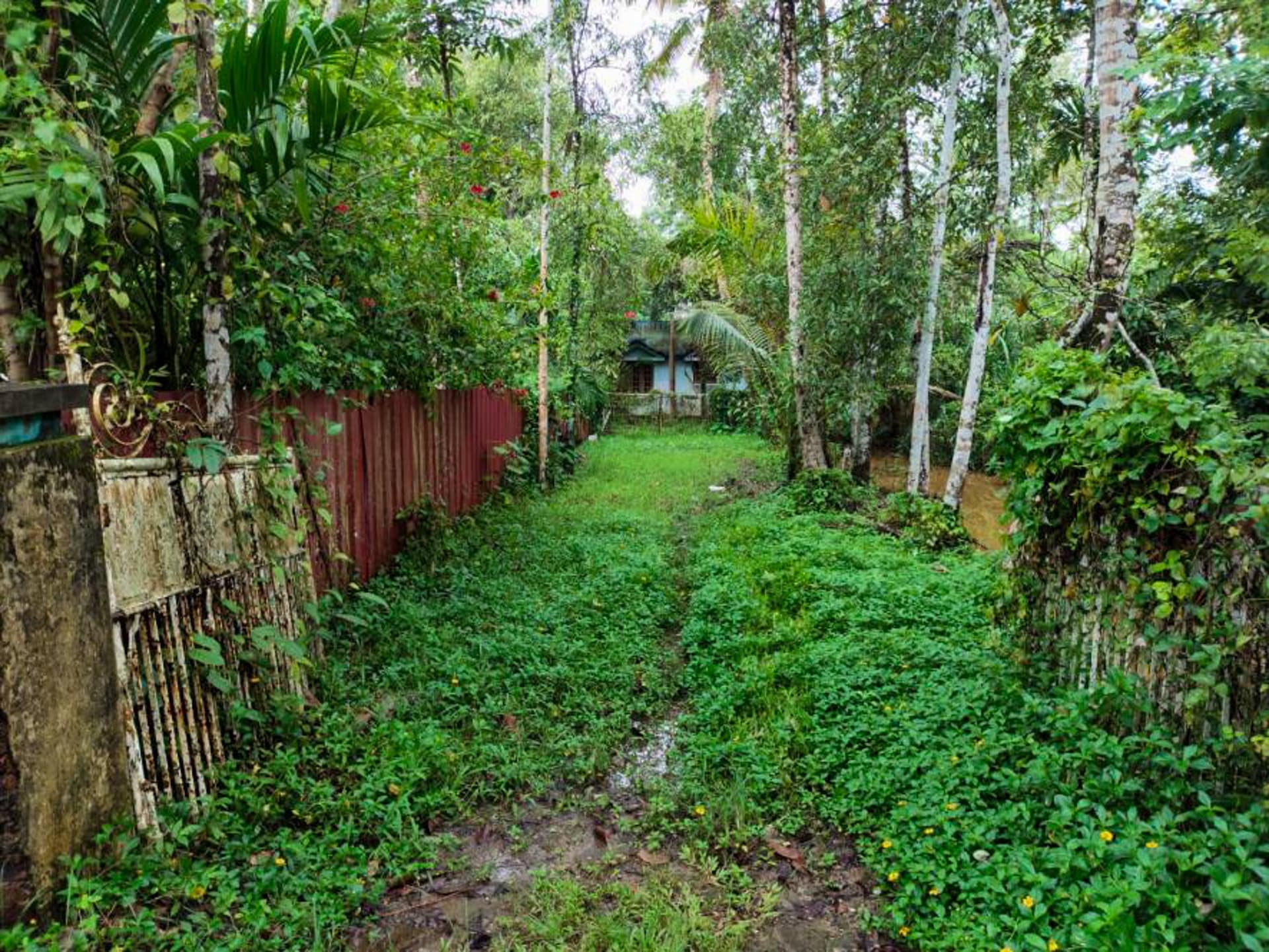 Property Photos 2