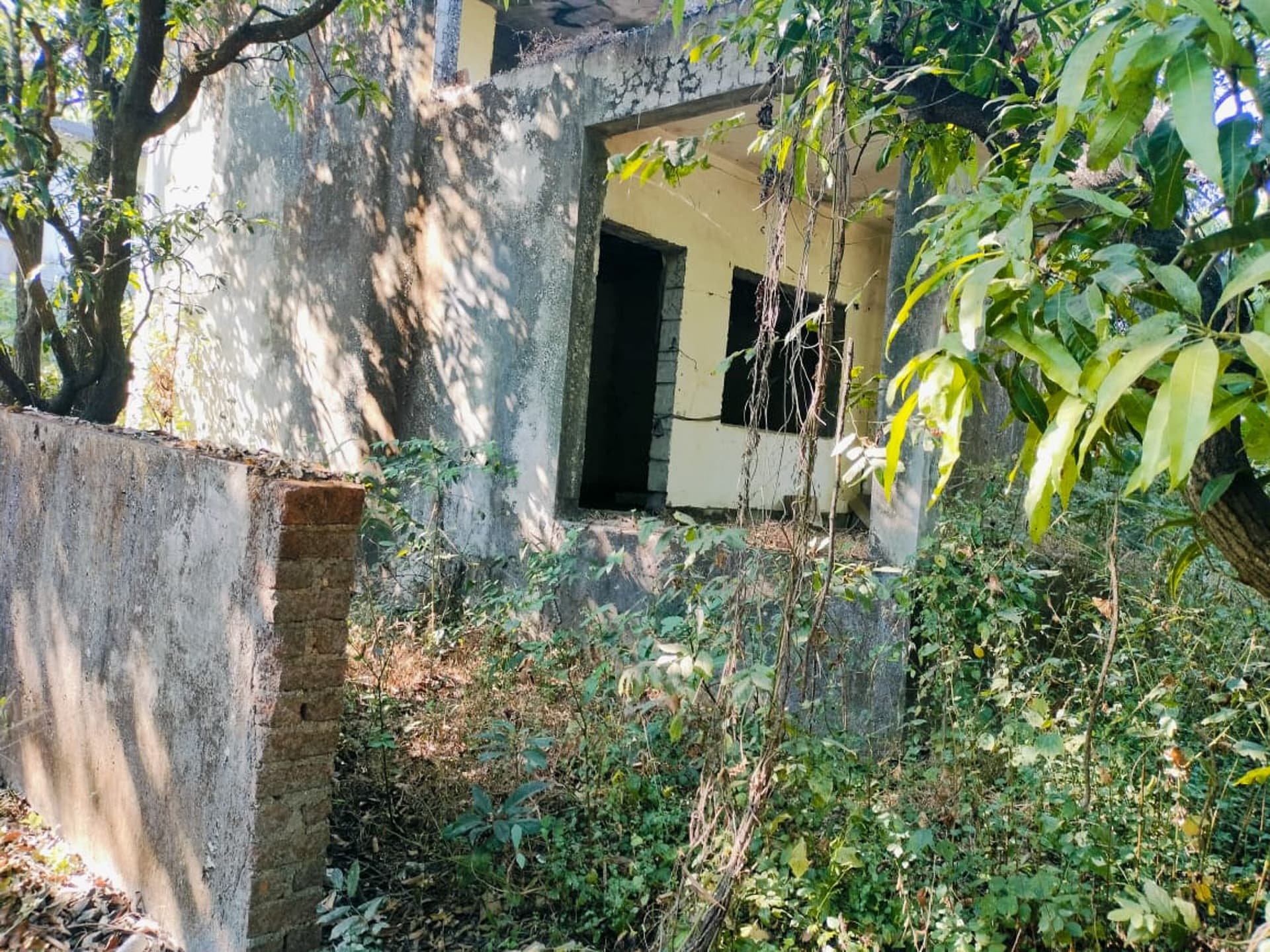 Property Photos 19