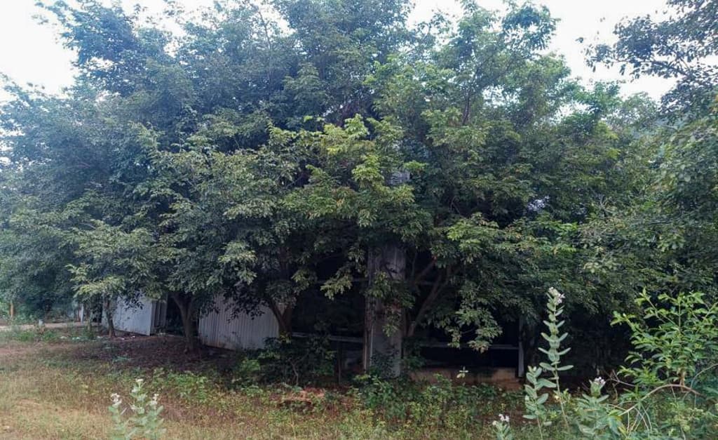 Property Photos 2