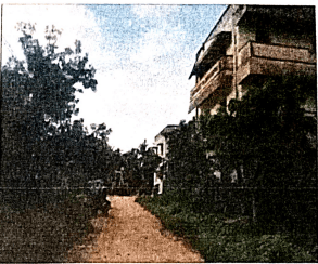 Property Photos 2