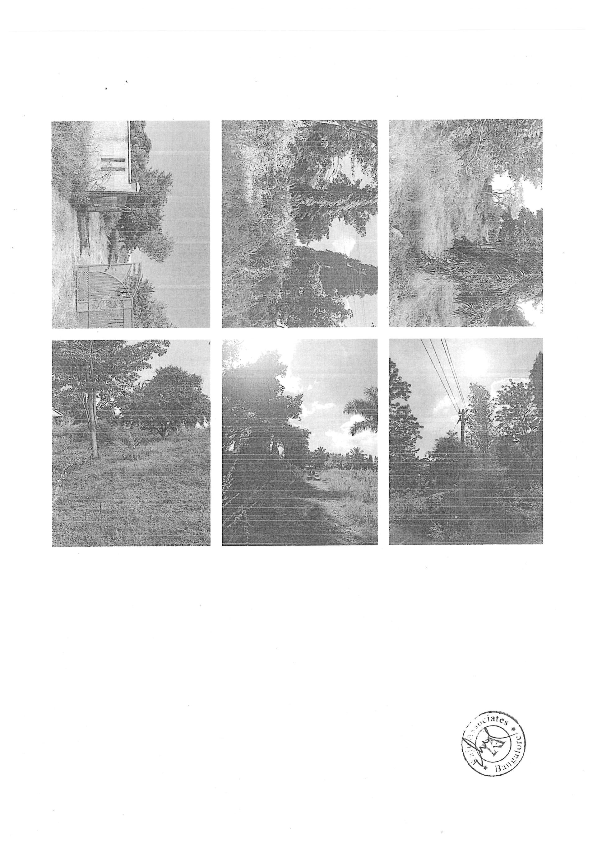 Property Photos 2