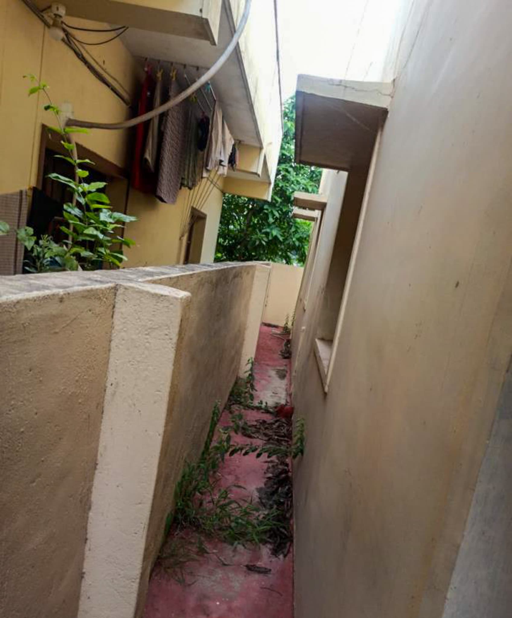 Property Photos 28