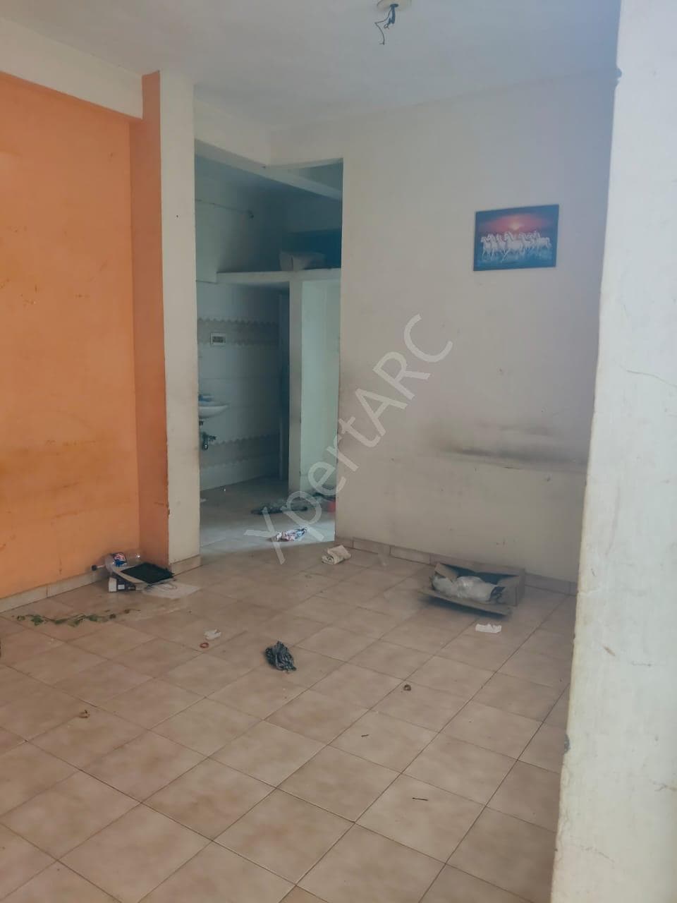 Property Photos 7