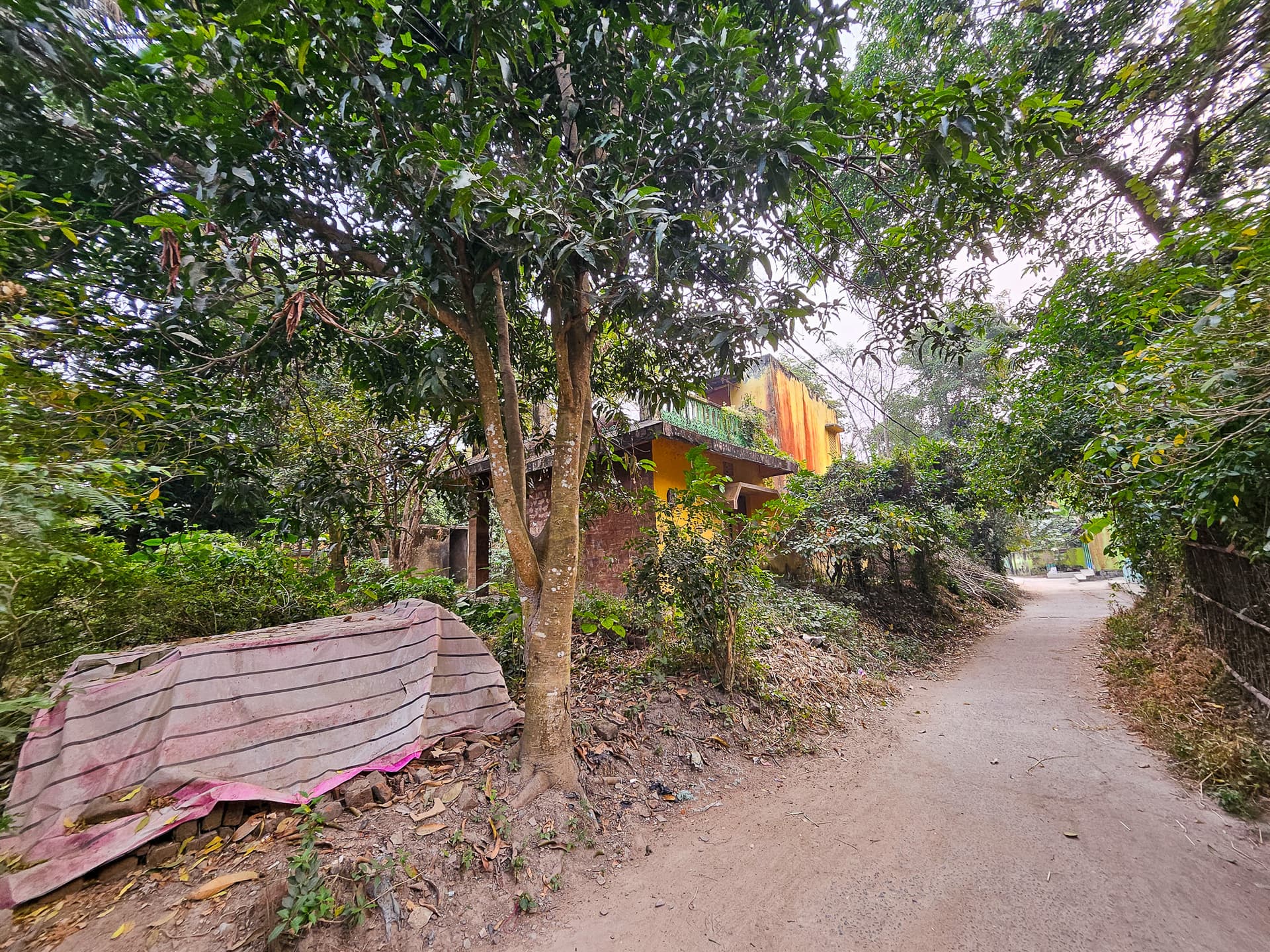 Property Photos 9