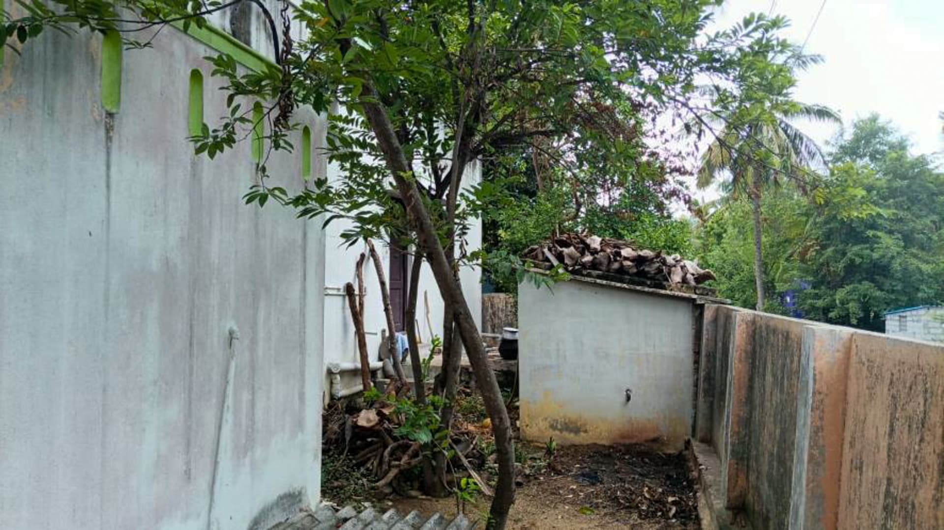 Property Photos 6