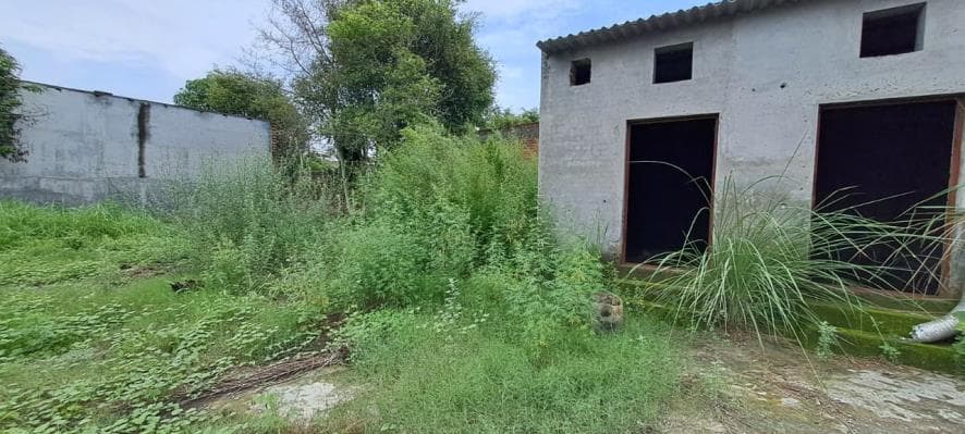 Property Photos 4