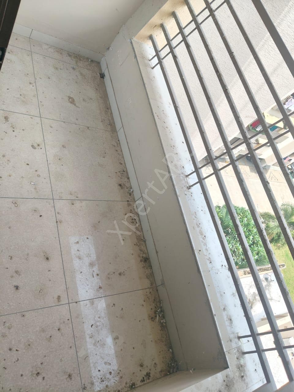 Property Photos 5