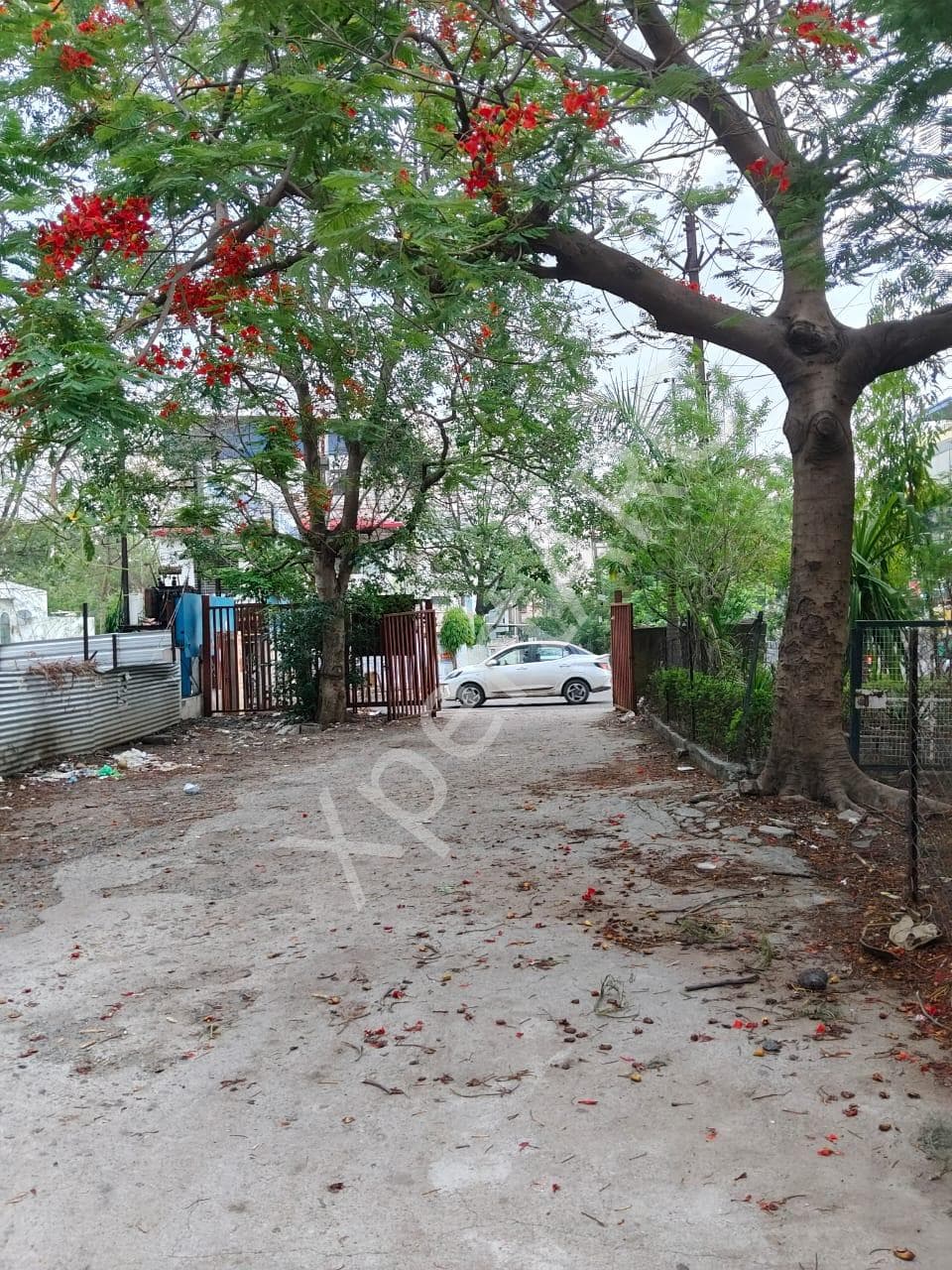 Property Photos 3