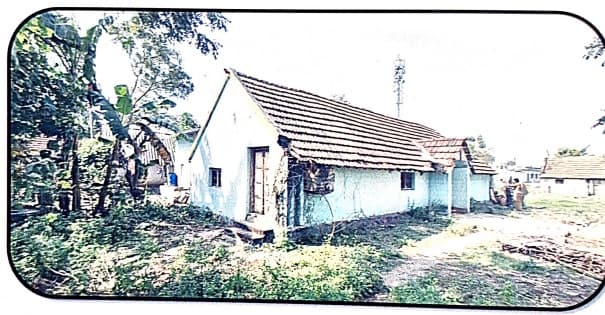 Property Photos 2