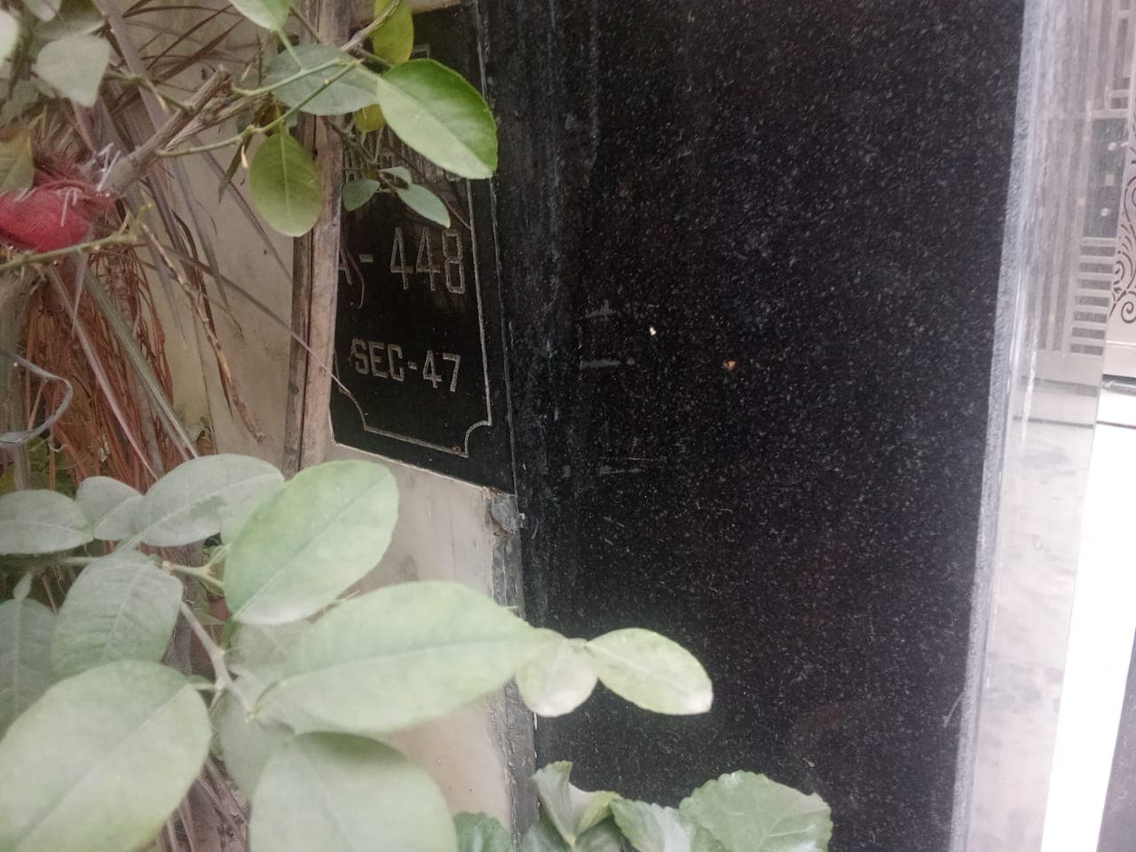 Property Photos 3