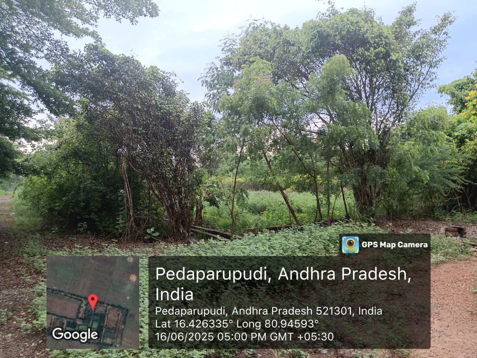 Property Photos 4