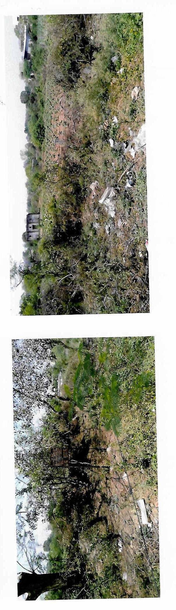 Property Photos 3