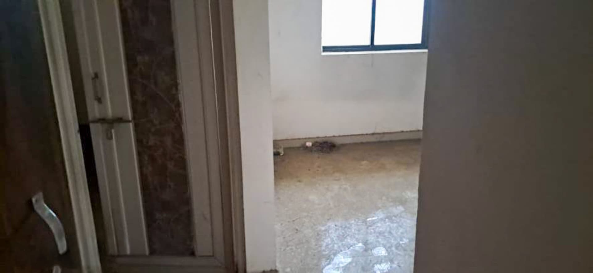 Property Photos 19