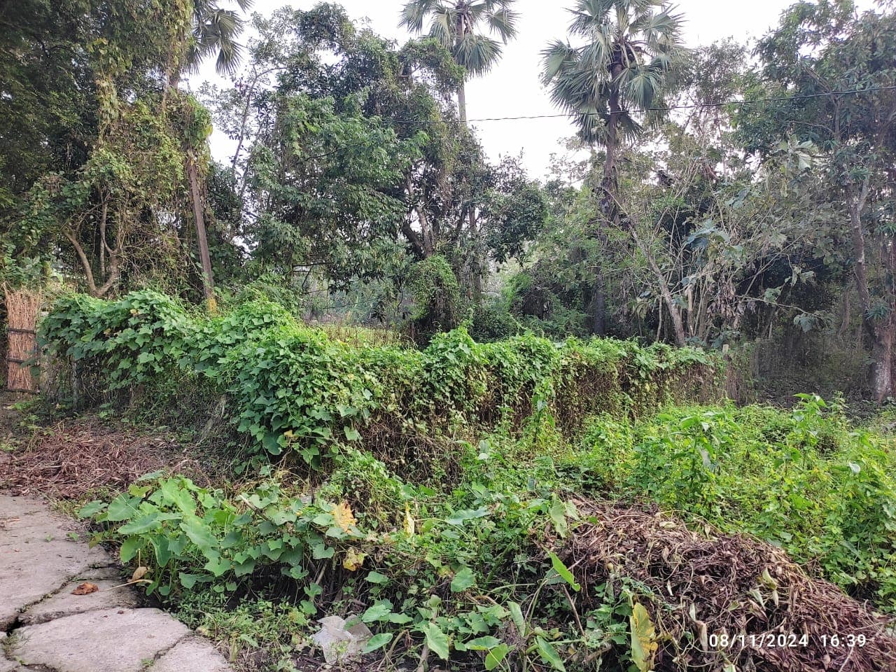 Property Photos 2