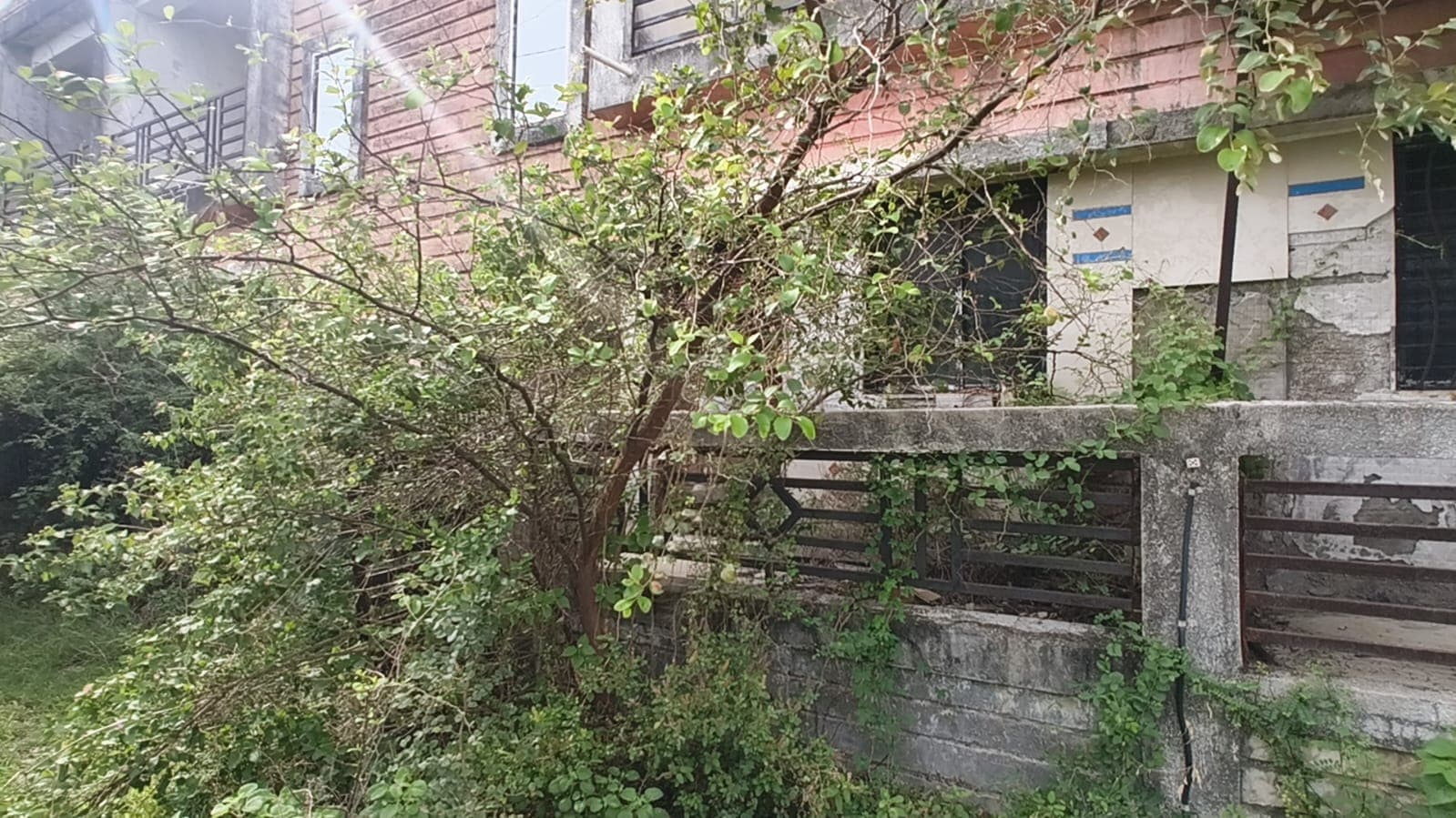 Property Photos 19