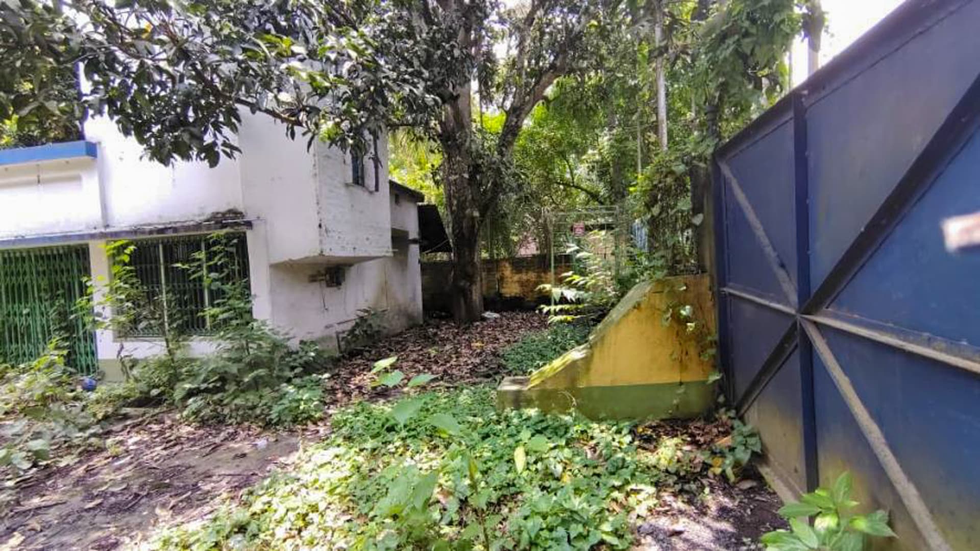 Property Photos 4