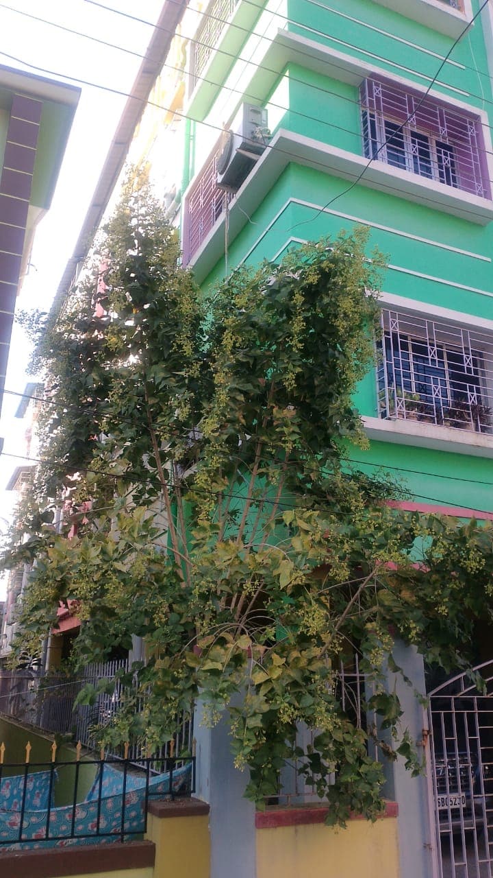 Property Photos 2