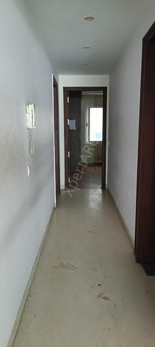 Property Photos 43