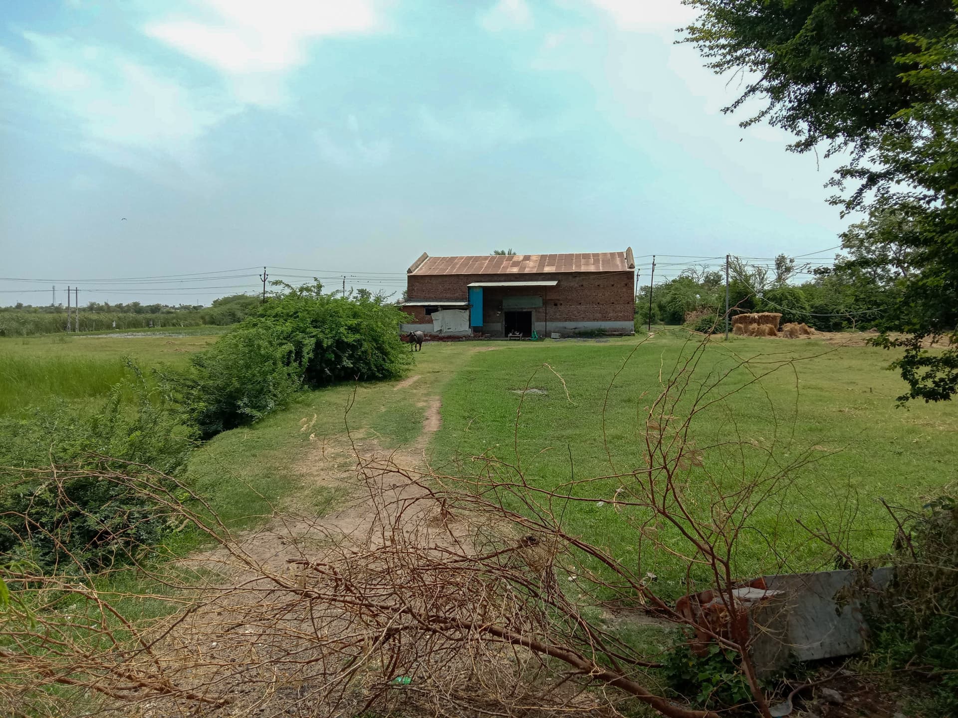 Property Photos 4