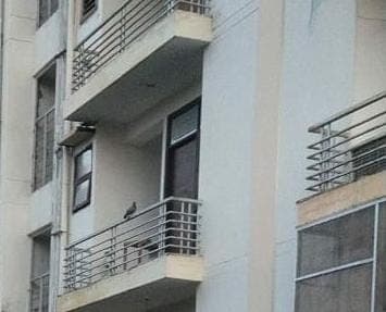 Property Photos 2