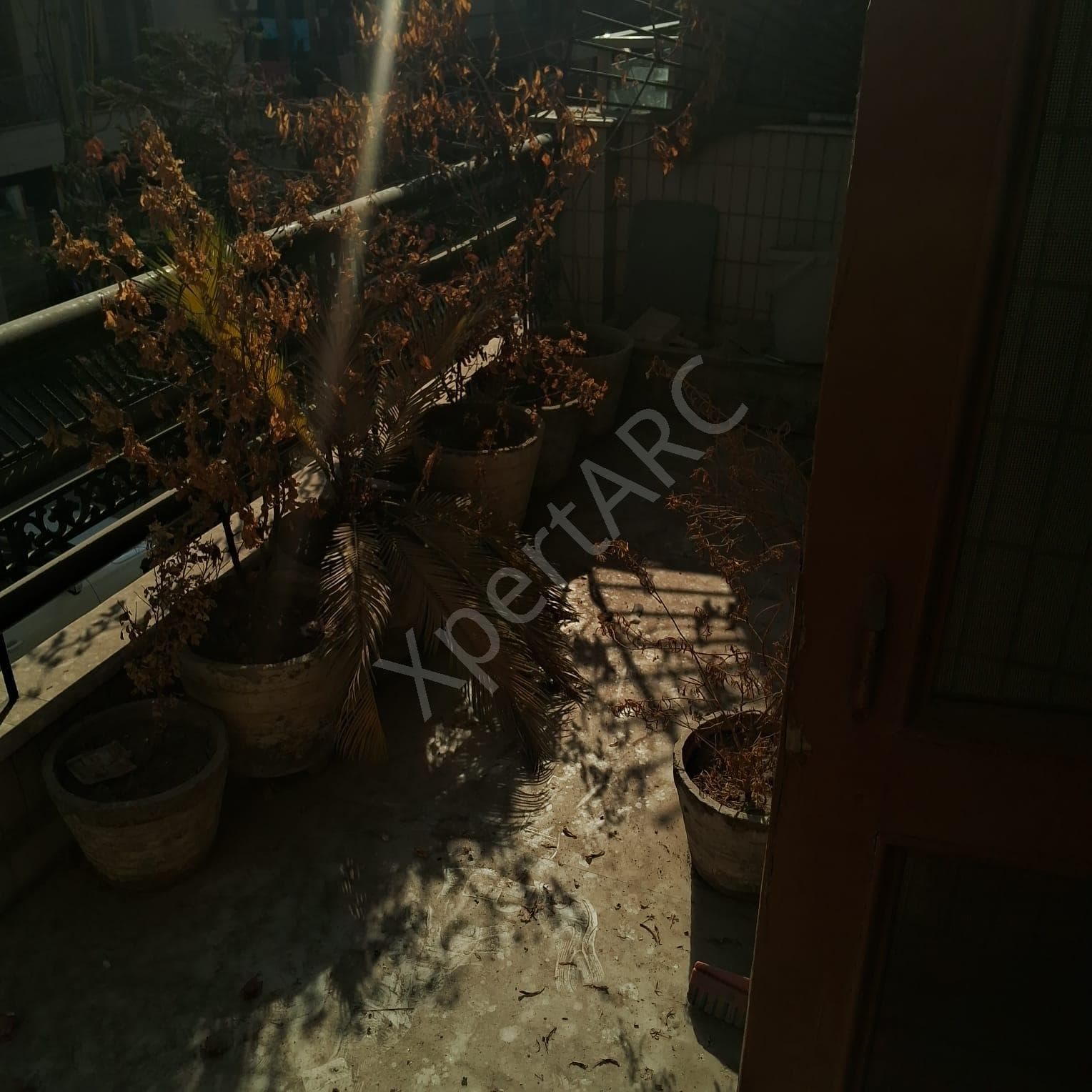 Property Photos 22