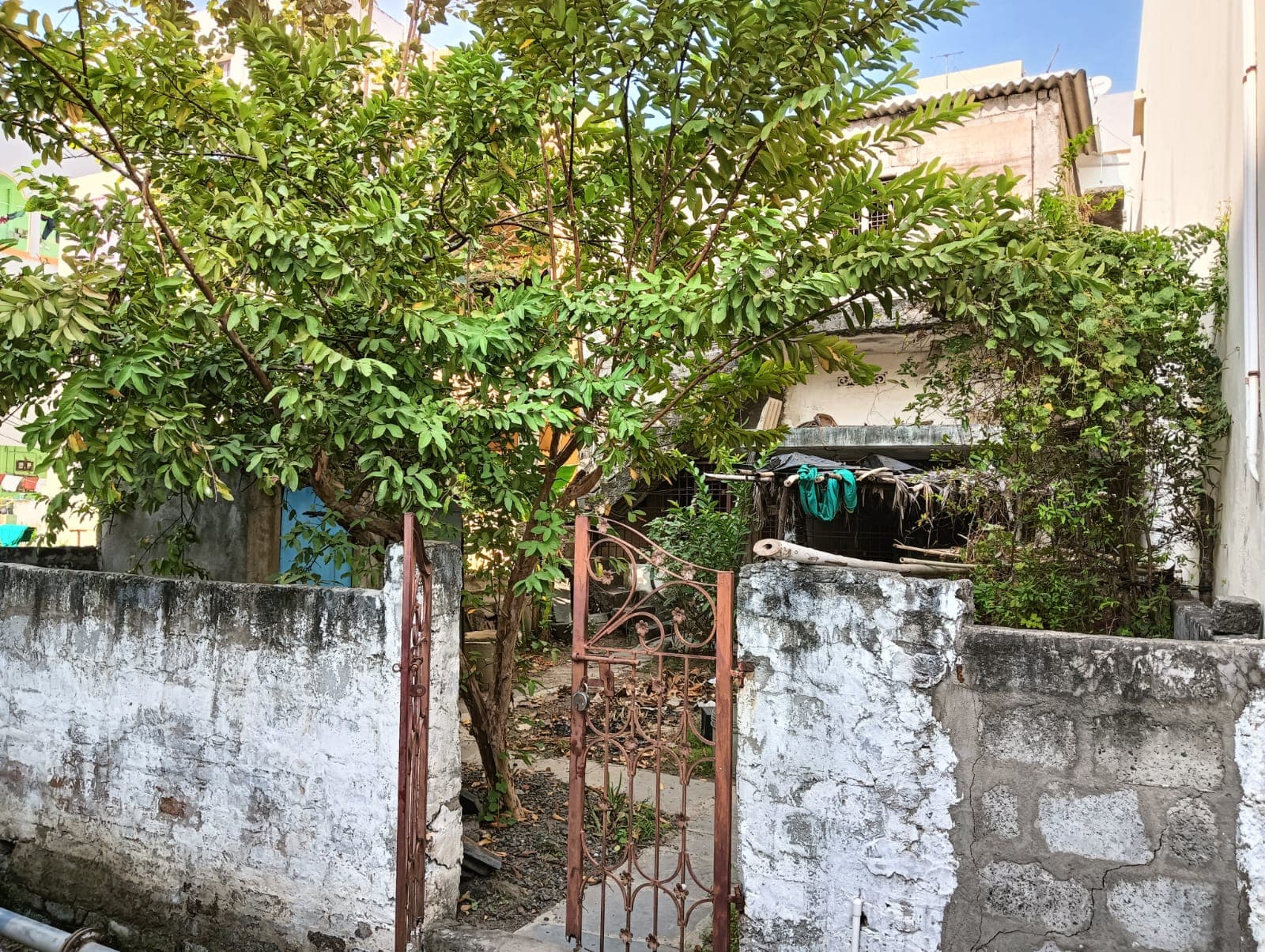Property Photos 1