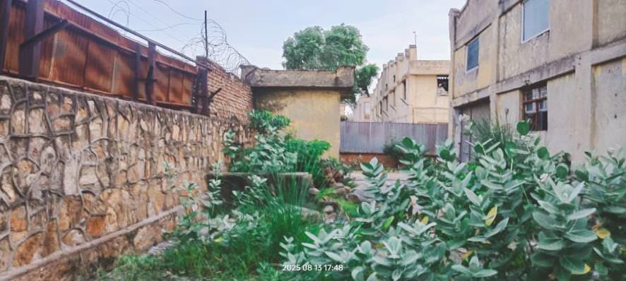 Property Photos 23