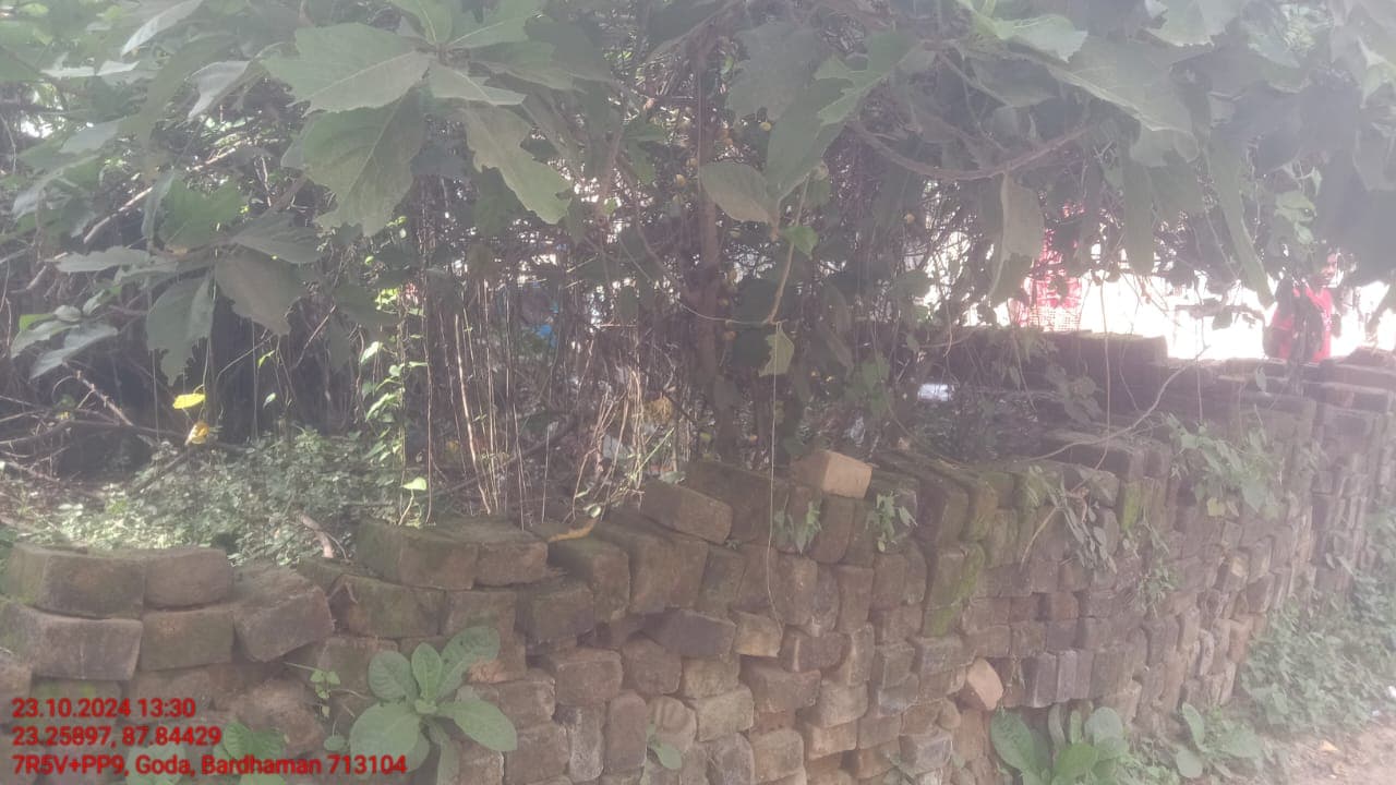 Property Photos 4