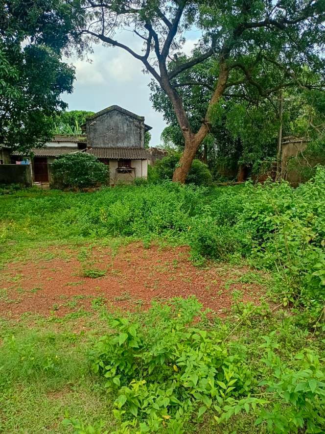 Property Photos 17