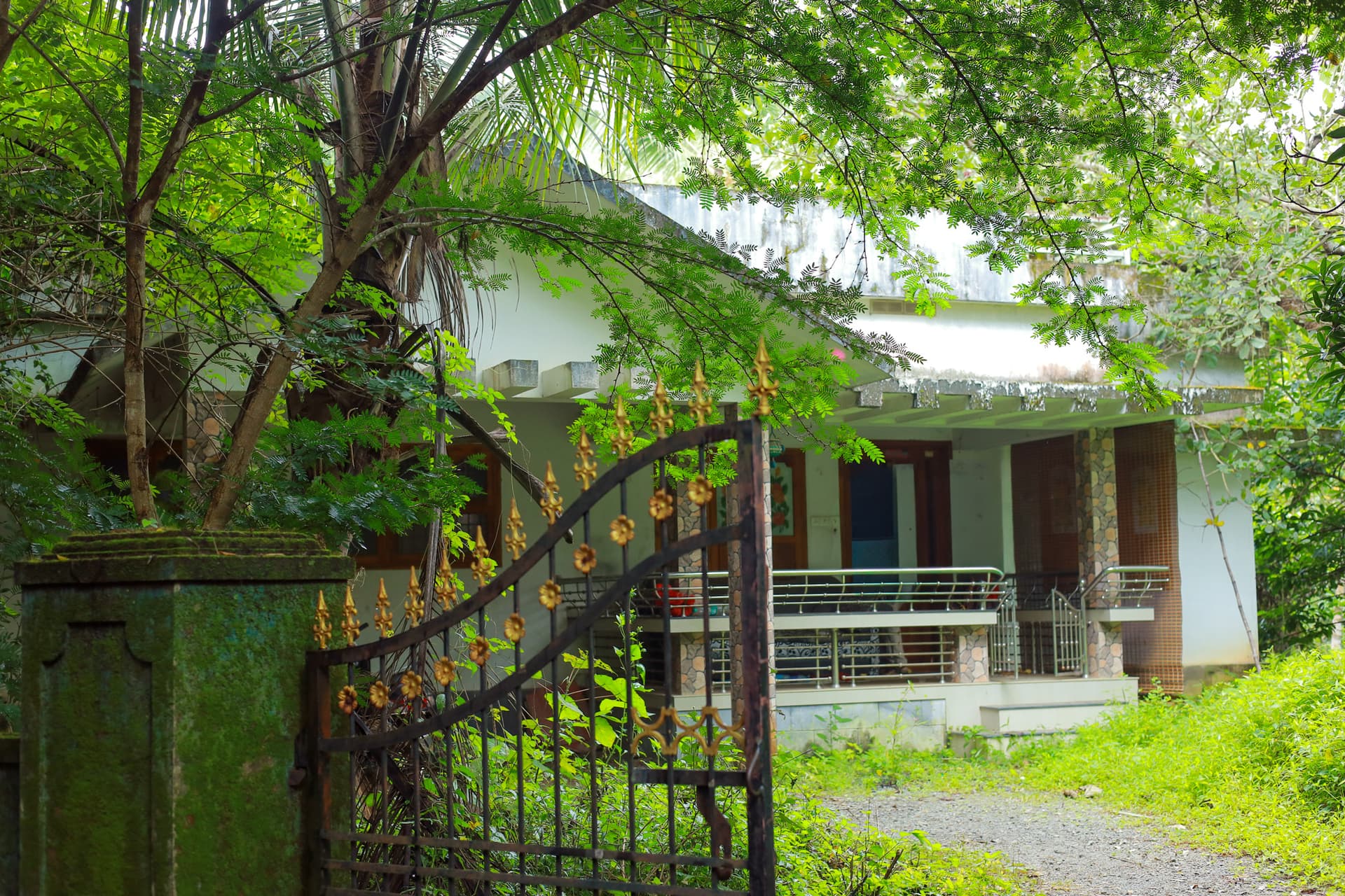 Property Photos 4