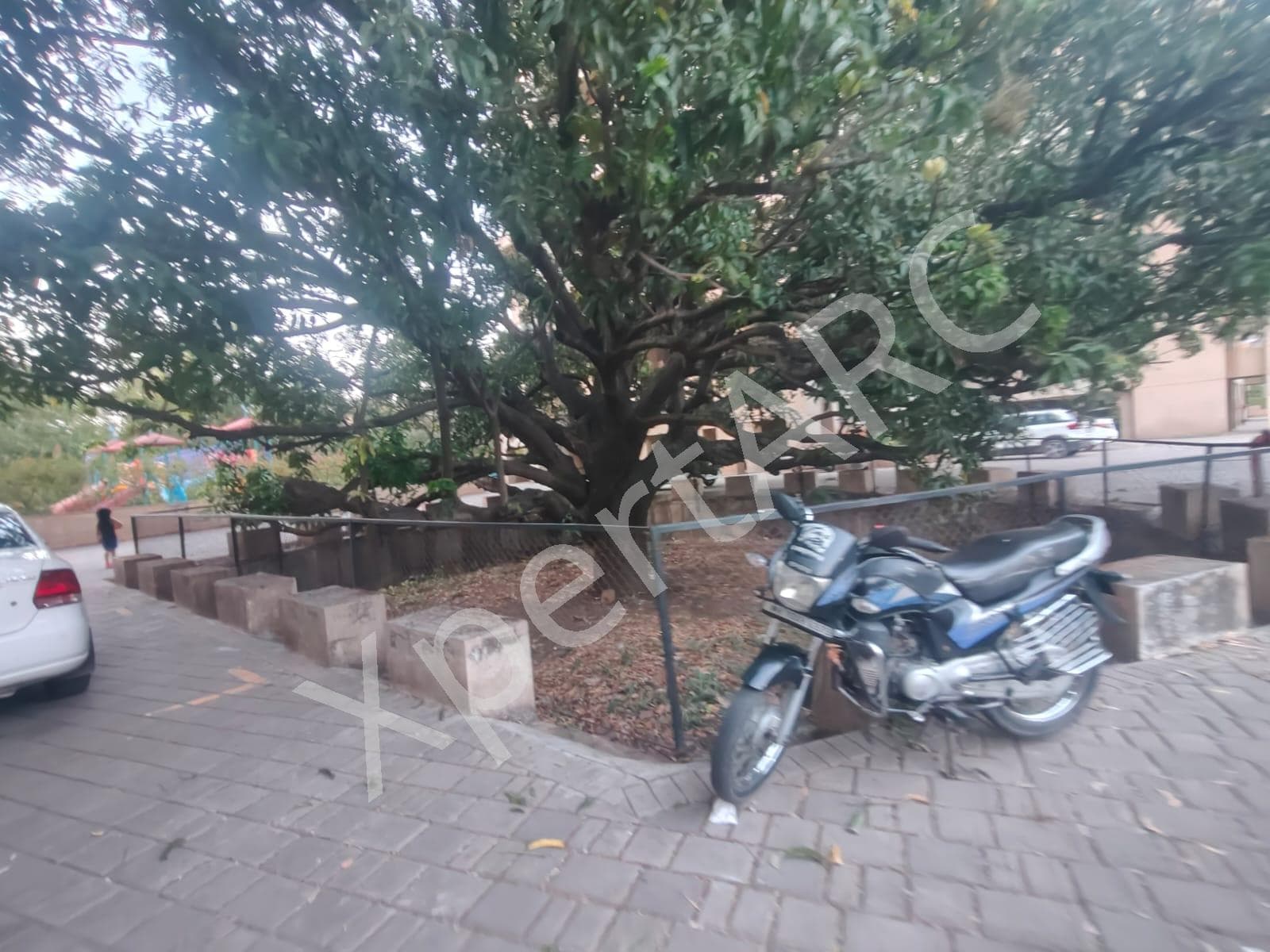 Property Photos 7