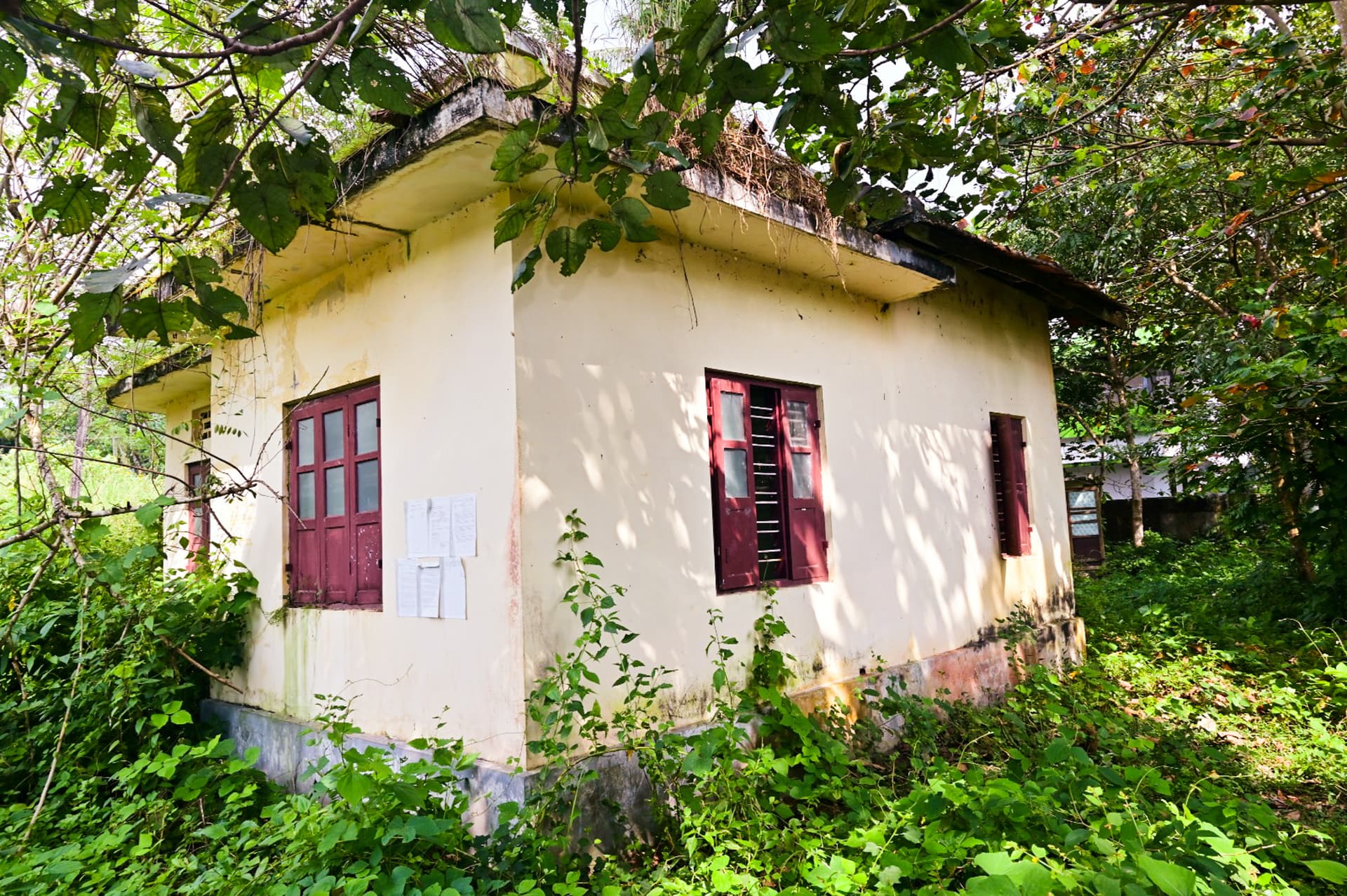 Property Photos 19